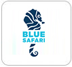 Blue Safari Webinar (India, GCC)